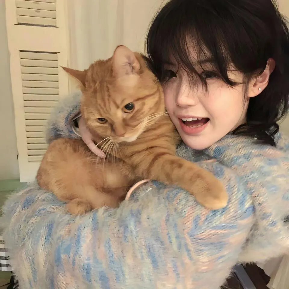 猎心之迷毒之罪