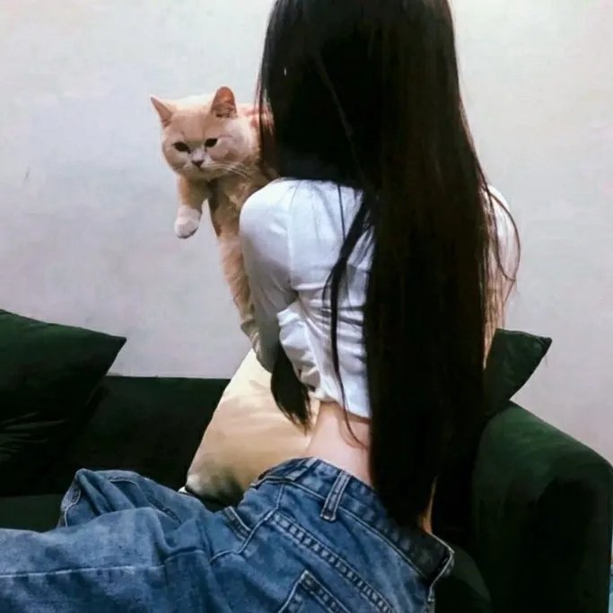 只因你是女子